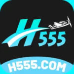 H555 Game